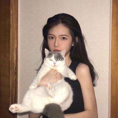大话皇妃游戏官方版下载